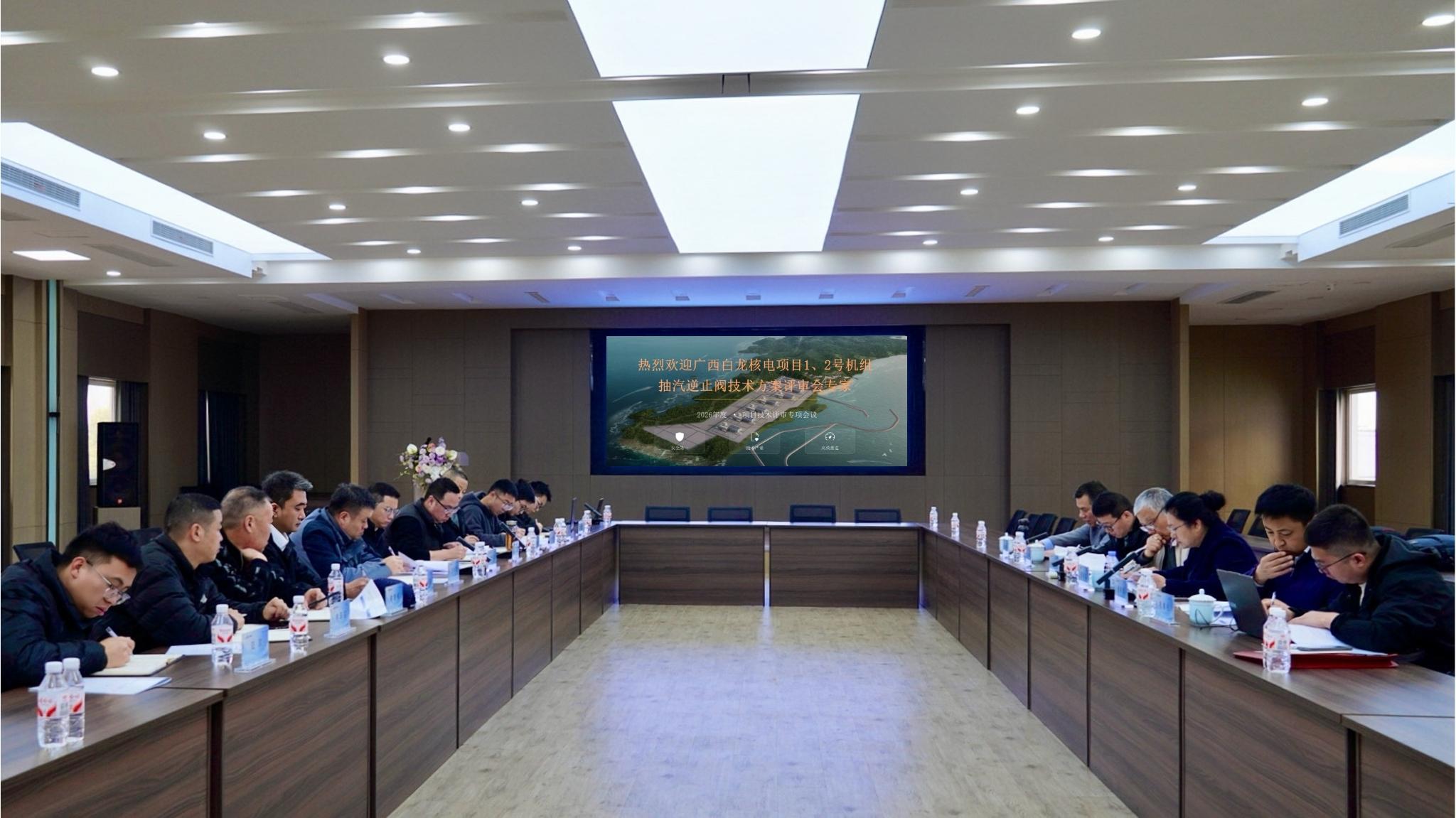 广西白龙核电项目抽汽逆止阀技术方案评审会在江南阀门圆满召开2.jpg